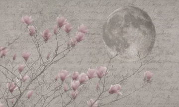 luna-tratto-16-609123-rel45b2de63.jpg
